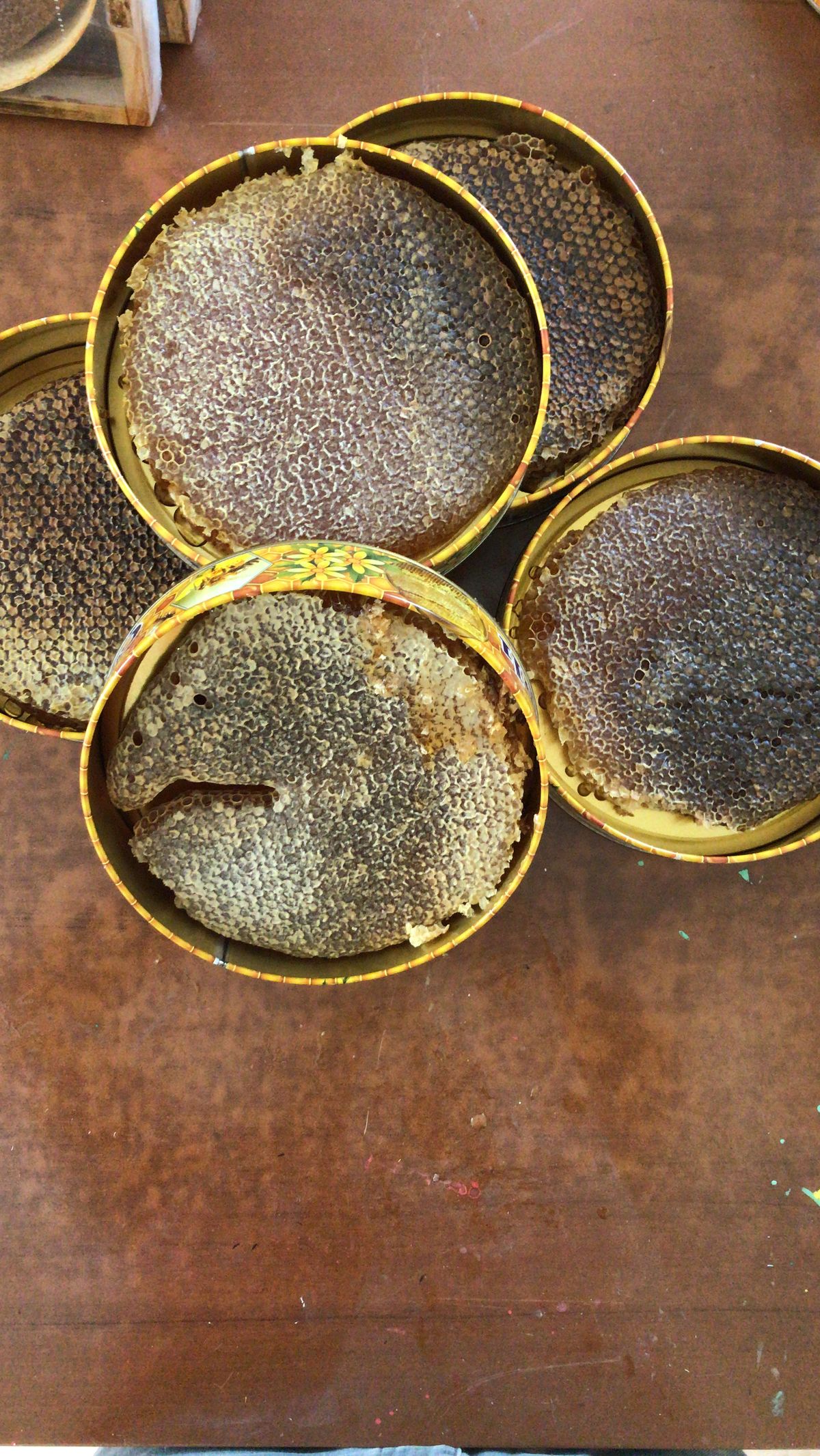 Karakovan Petek Balı (1000g-2000g)