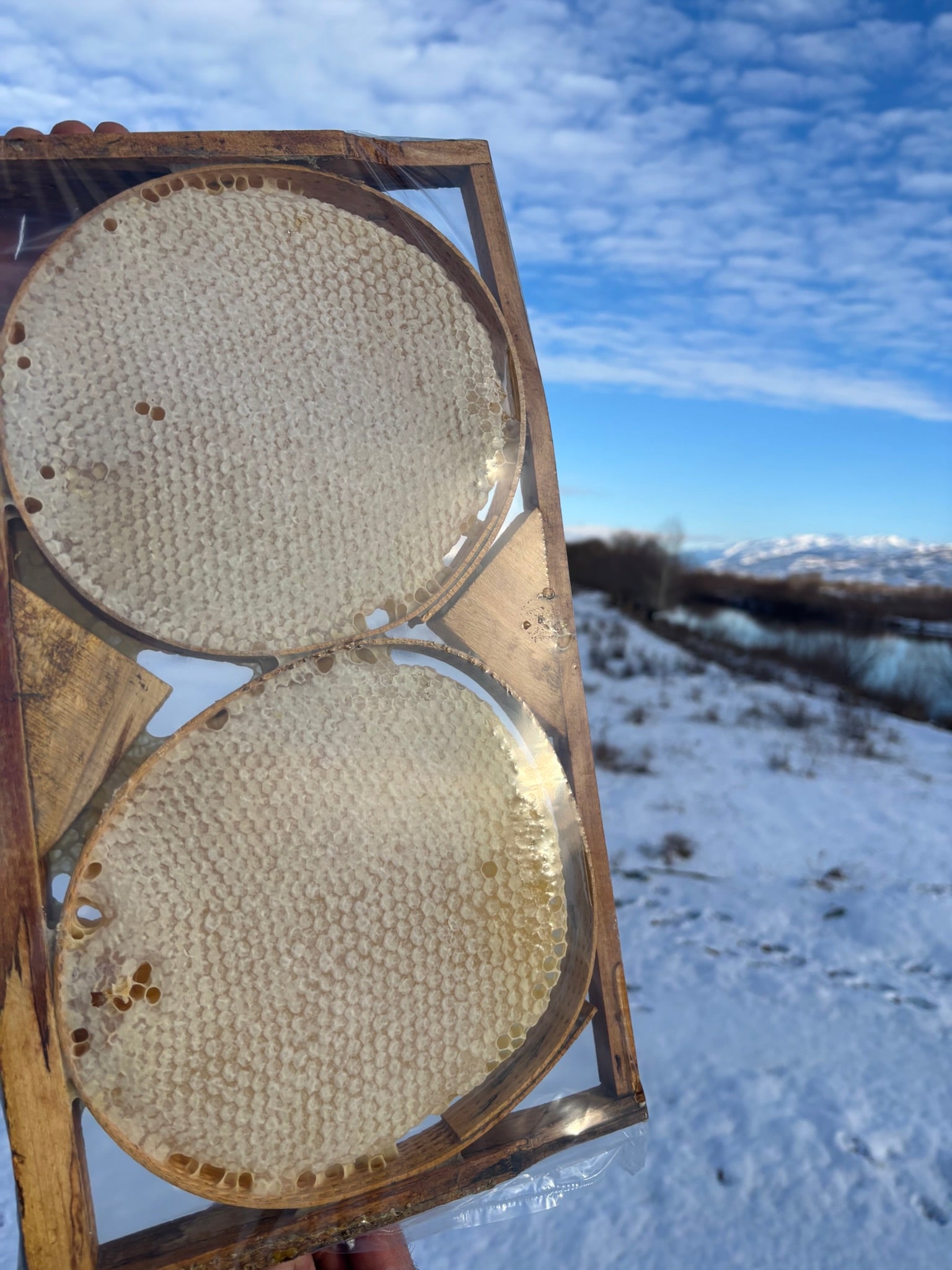 Karakovan Petek Balı (1000g-2000g)