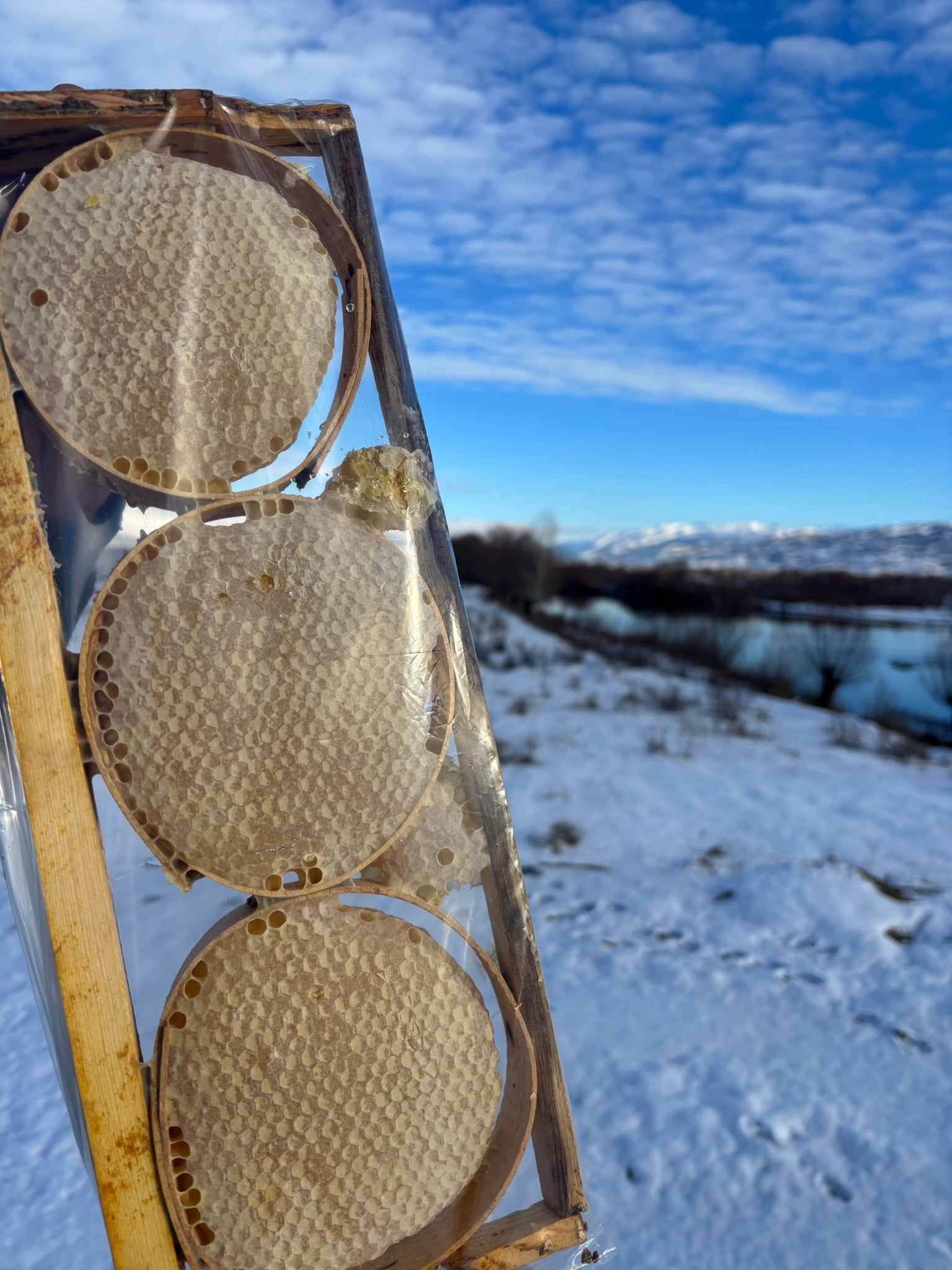 Küçük Karakovan Petek (Dadan)