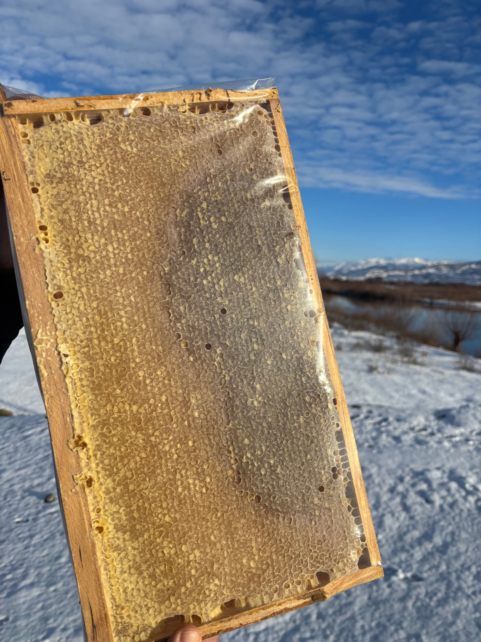 Petekli Kekik ve Geven Balı 1000g-2000g-3000-4000g